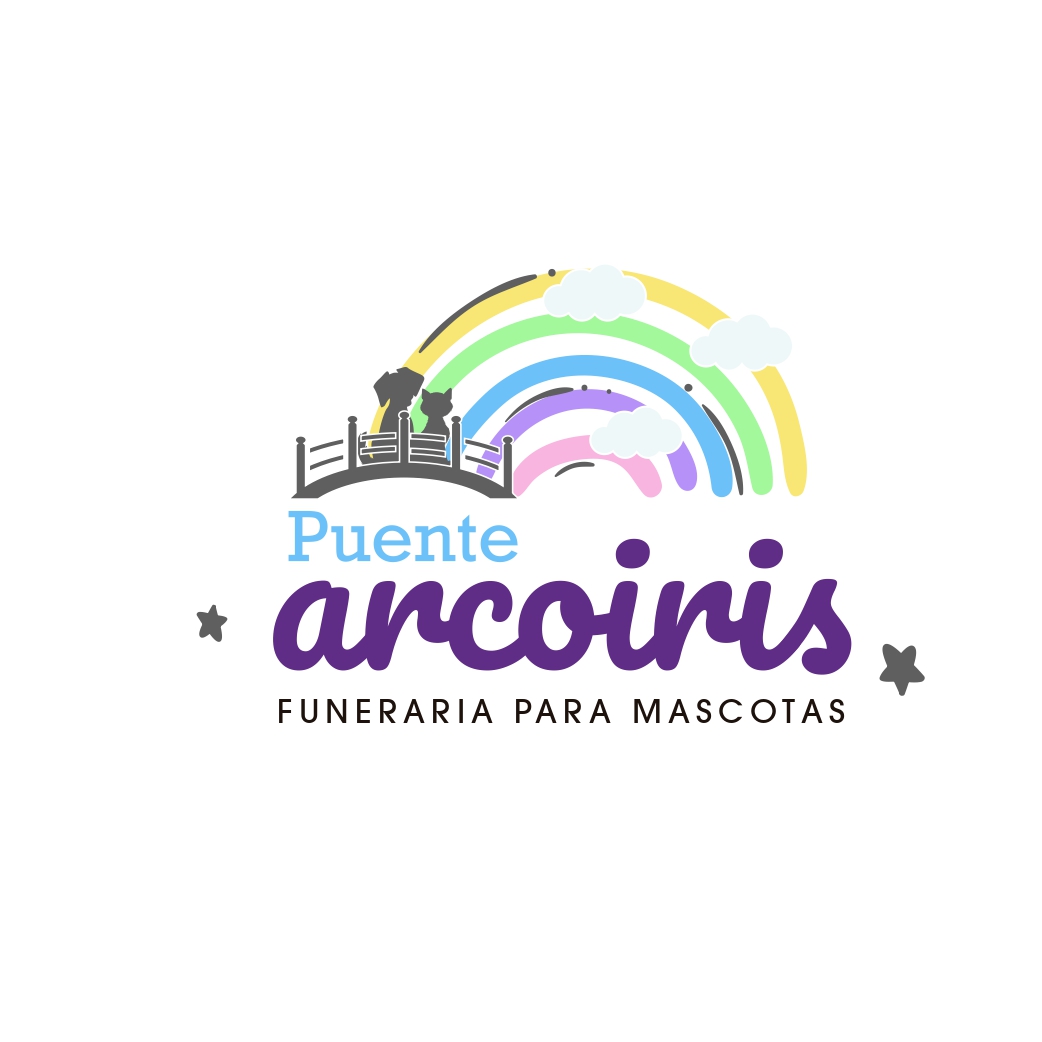 LOGO PUENTE ARCOIRIS_page-0002